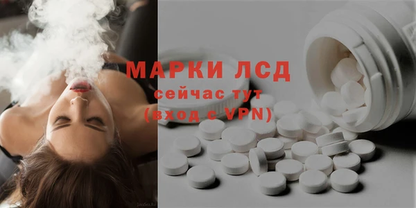 ПСИЛОЦИБИНОВЫЕ ГРИБЫ Володарск