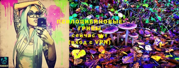 ПСИЛОЦИБИНОВЫЕ ГРИБЫ Володарск