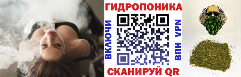 Бошки Шишки OG Kush наркотики Луга